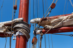 Bateau, L'Oosterschelde