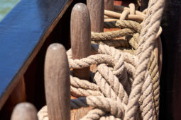 Bateau, L'Oosterschelde
