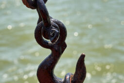 Bateau, L'Oosterschelde
