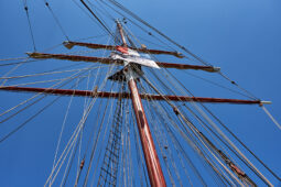 Bateau, L'Oosterschelde