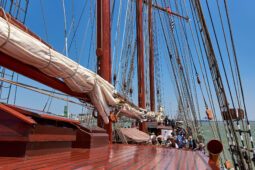 Bateau, L'Oosterschelde
