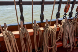 Bateau, L'Oosterschelde