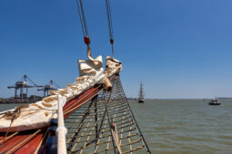Bateau, L'Oosterschelde