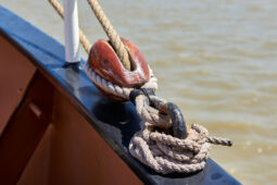 Bateau, L'Oosterschelde