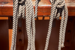 Bateau, L'Oosterschelde