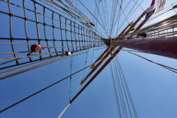 Bateau, L'Oosterschelde