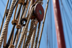 Bateau, L'Oosterschelde