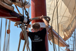 Bateau, L'Oosterschelde