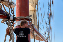 Bateau, L'Oosterschelde