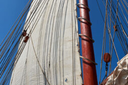 Bateau, L'Oosterschelde