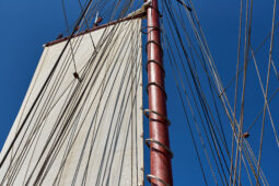 Bateau, L'Oosterschelde