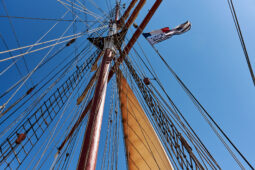 Bateau, L'Oosterschelde