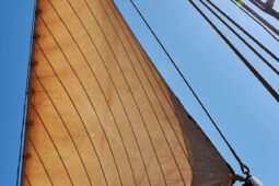 Bateau, L'Oosterschelde