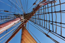 Bateau, L'Oosterschelde