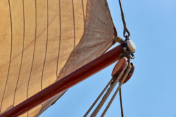 Bateau, L'Oosterschelde