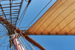 Bateau, L'Oosterschelde
