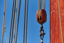 Bateau, L'Oosterschelde