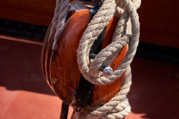 Bateau, L'Oosterschelde