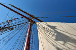 Bateau, L'Oosterschelde