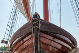 Bateau, L'Oosterschelde