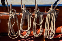 Bateau, L'Oosterschelde