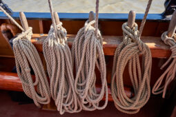 Bateau, L'Oosterschelde