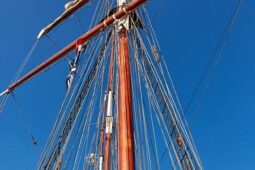 Bateau, L'Oosterschelde