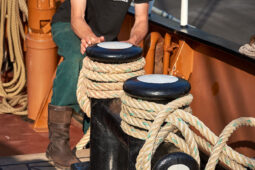 Bateau, L'Oosterschelde