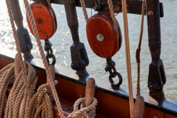 Bateau, L'Oosterschelde