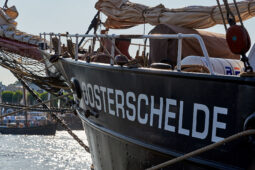 Bateau, L'Oosterschelde