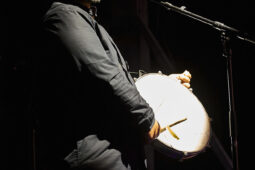 Aurus, Concert