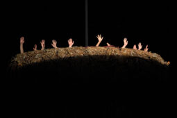 Cie Adhok, Spectacle