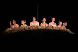 Cie Adhok, Spectacle