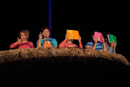 Cie Adhok, Spectacle