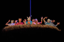 Cie Adhok, Spectacle