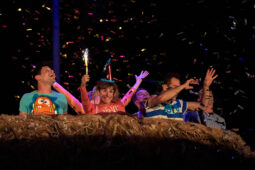 Cie Adhok, Spectacle