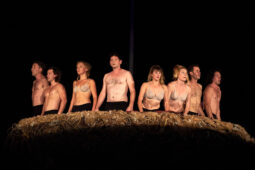 Cie Adhok, Spectacle