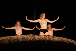 Cie Adhok, Spectacle