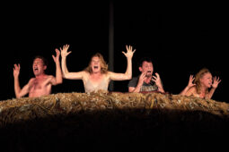 Cie Adhok, Spectacle