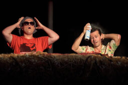 Cie Adhok, Spectacle