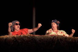Cie Adhok, Spectacle