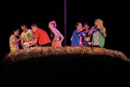 Cie Adhok, Spectacle