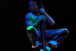 Cie Adhok, Spectacle