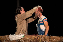 Cie Adhok, Spectacle