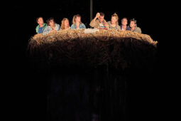 Cie Adhok, Spectacle