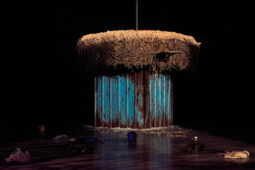 Cie Adhok, Spectacle