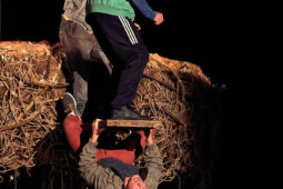 Cie Adhok, Spectacle