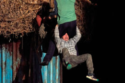 Cie Adhok, Spectacle
