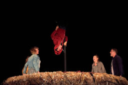 Cie Adhok, Spectacle