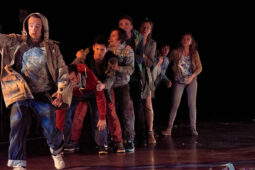 Cie Adhok, Spectacle